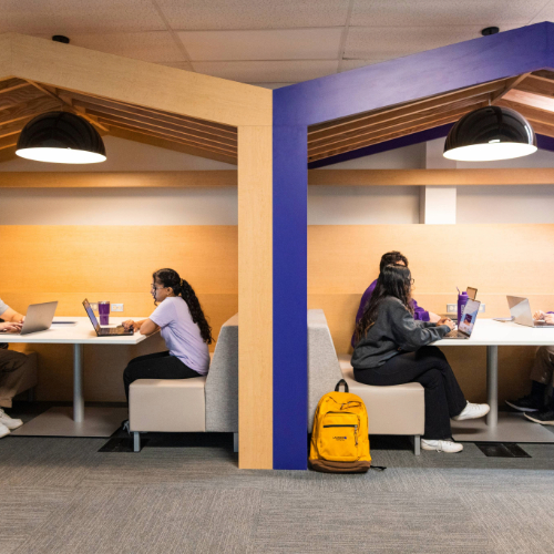 The common student lounge filled with purple and gold furniture